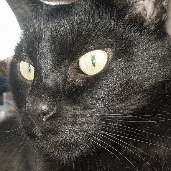 Meet your Posher, Kara - Picture 2 of 2